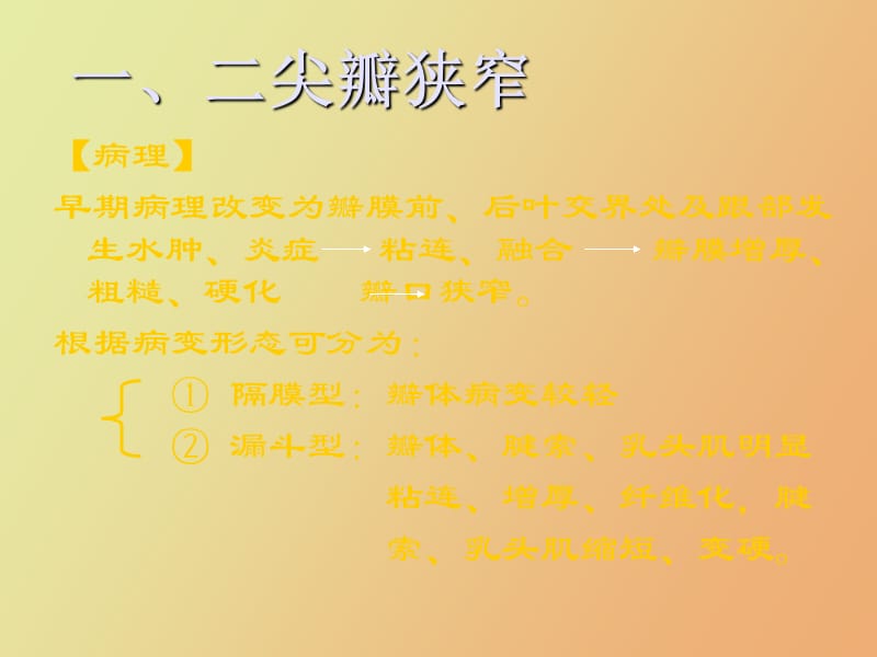 超声诊断瓣膜病.ppt_第2页