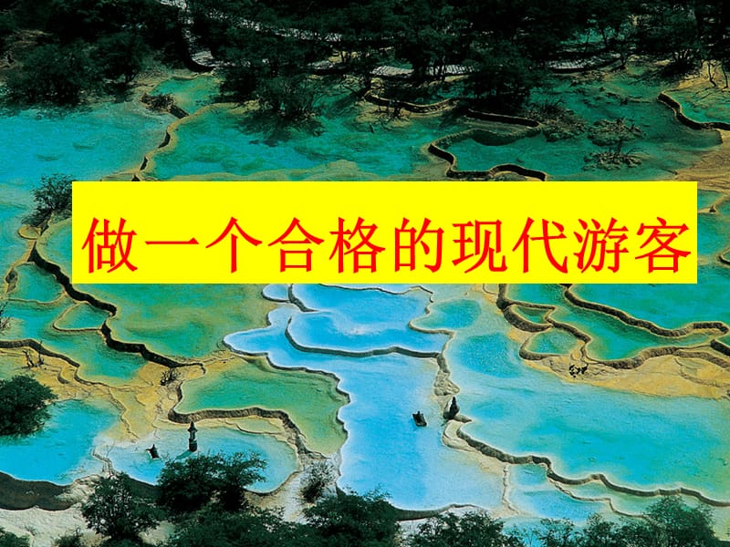 设计旅游活动.ppt_第1页