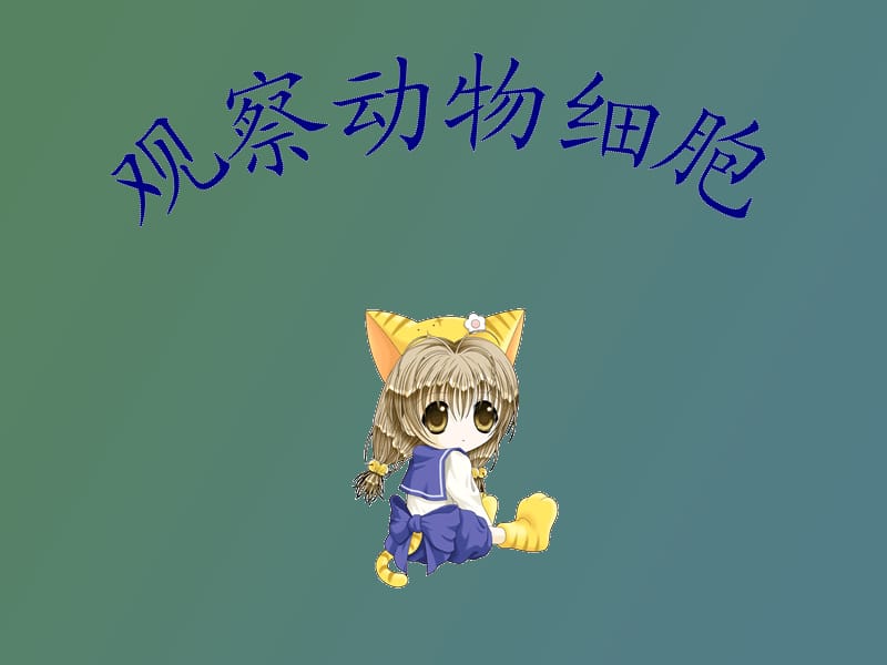 观察动物细胞.ppt_第1页