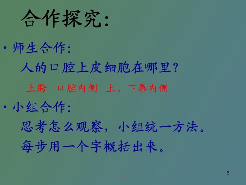 观察动物细胞.ppt_第3页