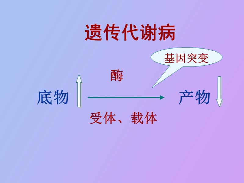 苯丙酮尿症蔡.ppt_第2页