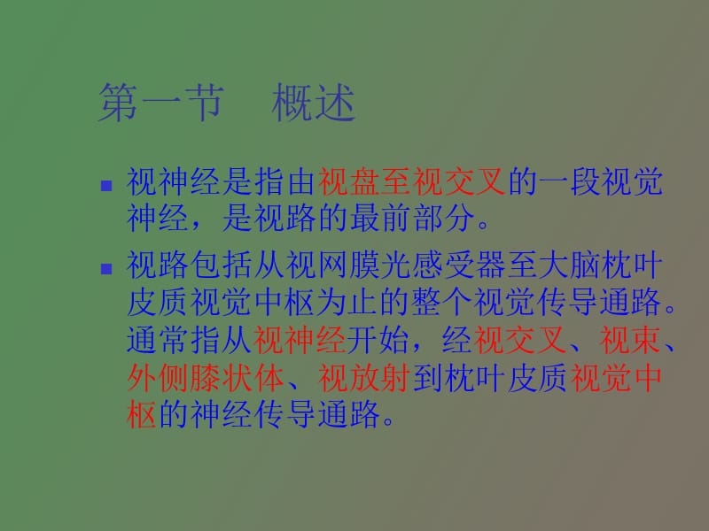 视神经及视路病变研究.ppt_第2页