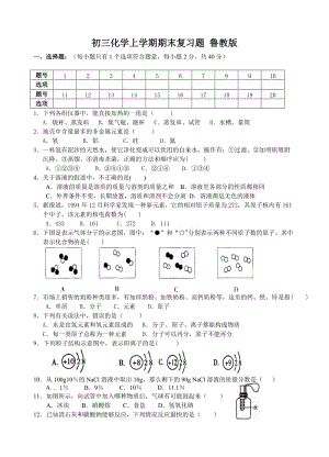 化学八年级全鲁教版期末考试.doc