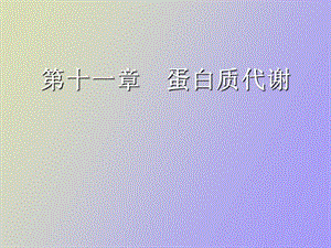 蛋白质代谢郑集.ppt