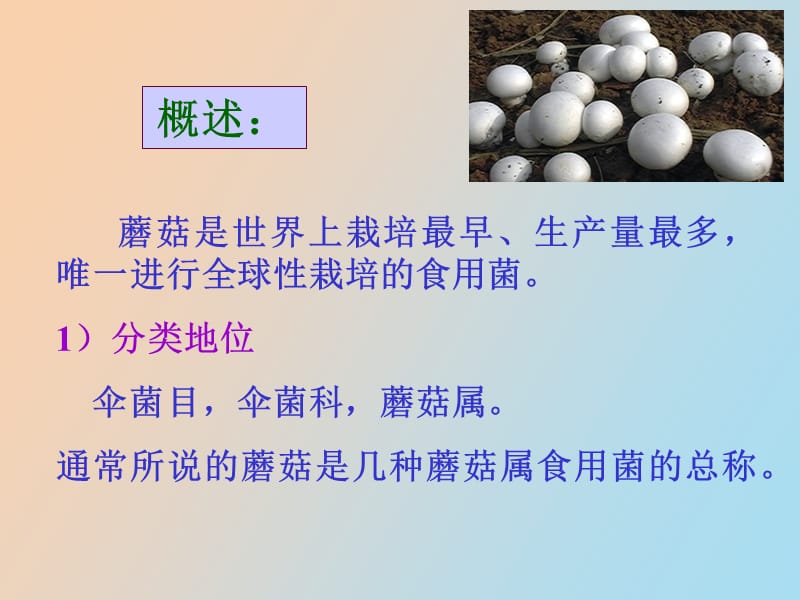 蘑菇栽培技术.ppt_第2页