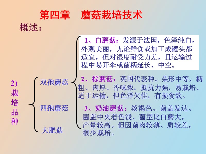 蘑菇栽培技术.ppt_第3页