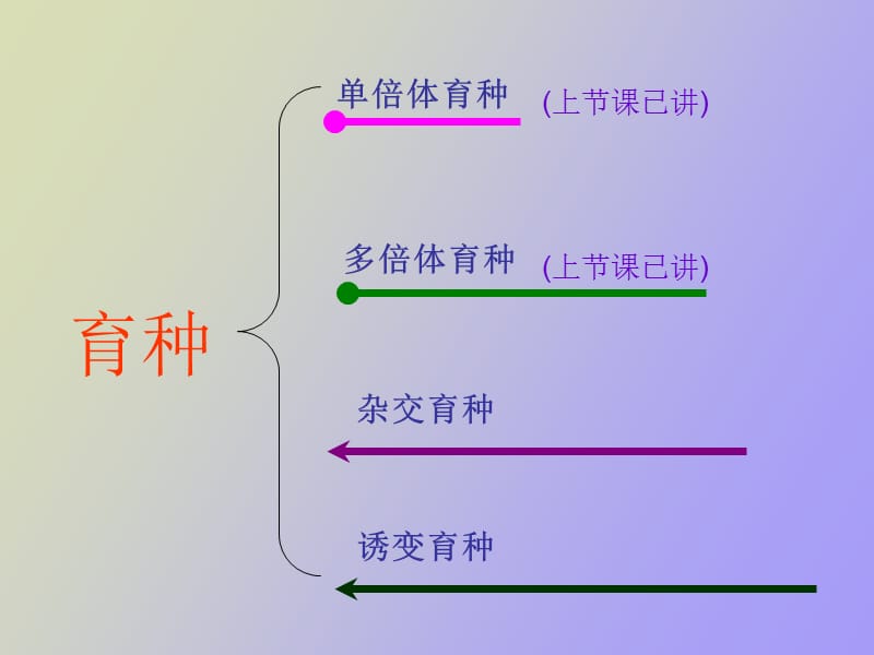 诱变育种与杂交育种.ppt_第2页