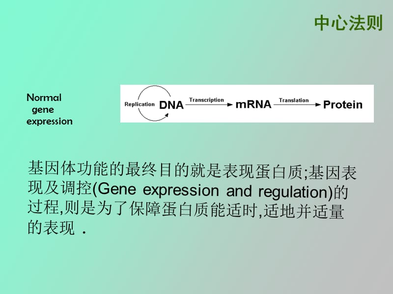 蛋白质组学研究介绍结合双向电泳.ppt_第3页