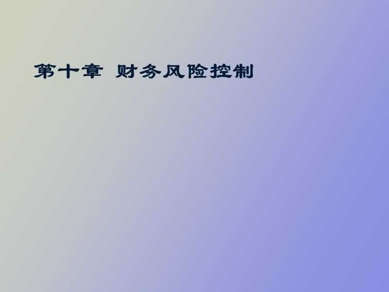 财务风险控制.ppt_第1页