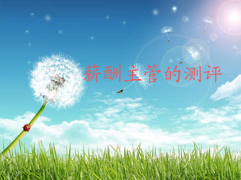 薪酬主管测评.ppt_第1页