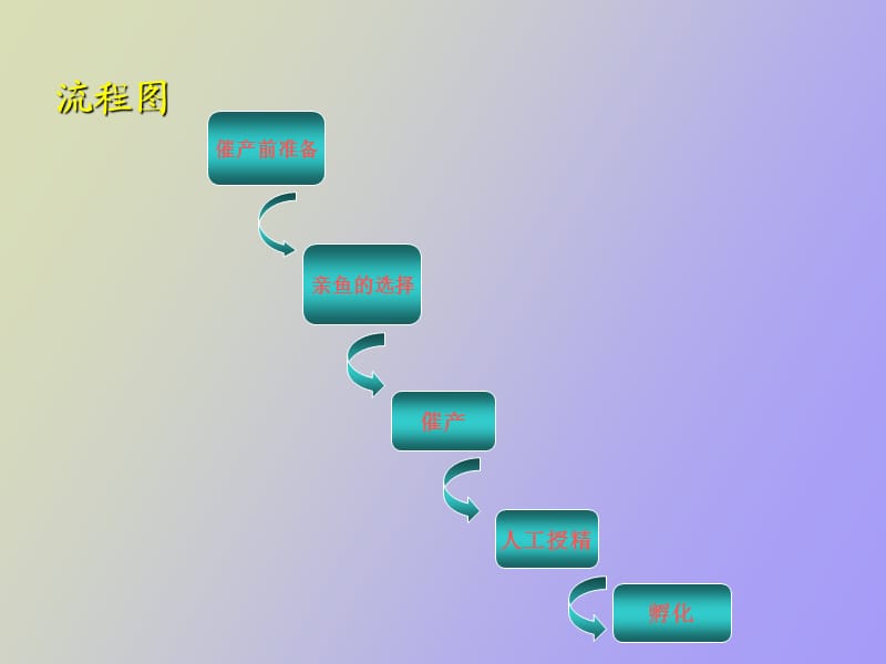 催情产卵孵化.ppt_第2页