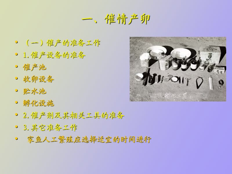 催情产卵孵化.ppt_第3页