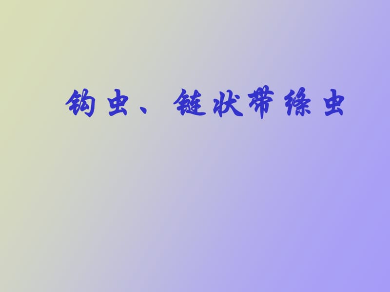 钩虫链状带绦虫.ppt_第1页