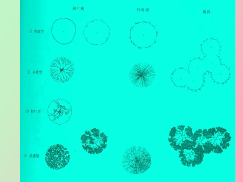 造园要素的表现手法.ppt_第3页