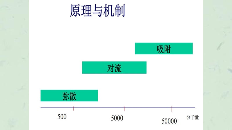 血液透析常见类型及选择课件.ppt_第3页