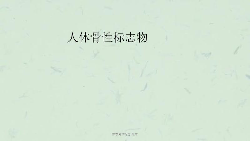 体表骨性标志 副本课件.ppt_第1页