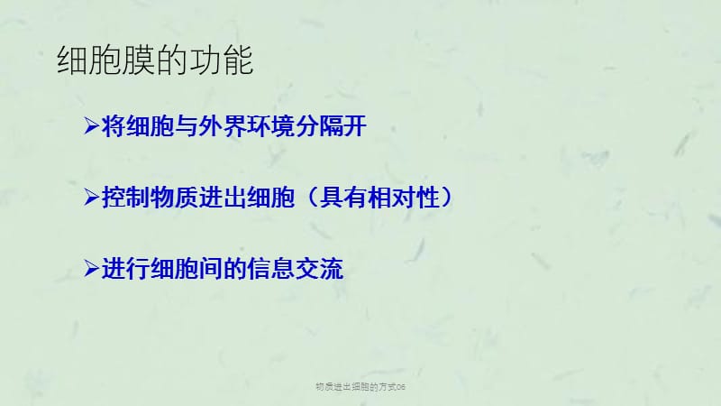 物质进出细胞的方式06课件.ppt_第3页