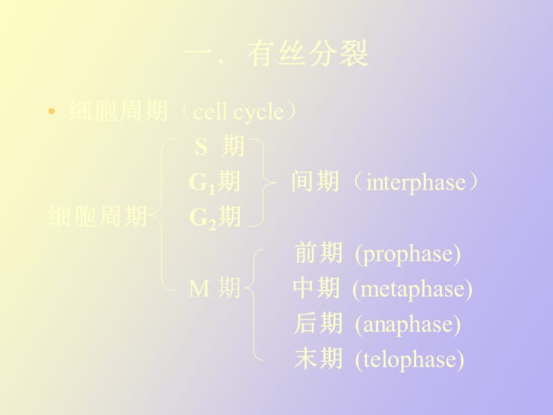 遗传的染色体学说.ppt_第2页