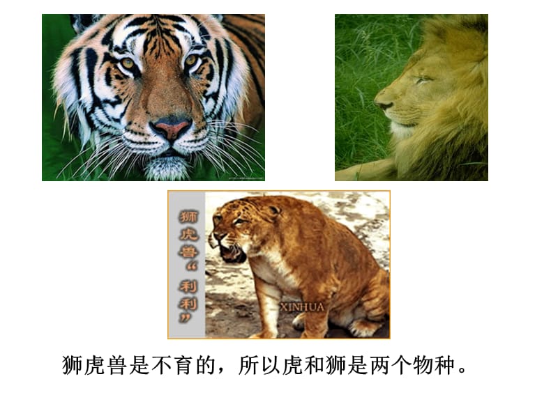 高二生物进化.ppt_第3页