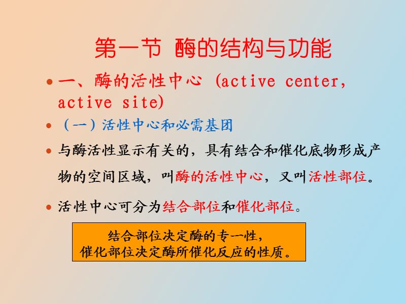 酶学与酶工程第二章学生.ppt_第2页