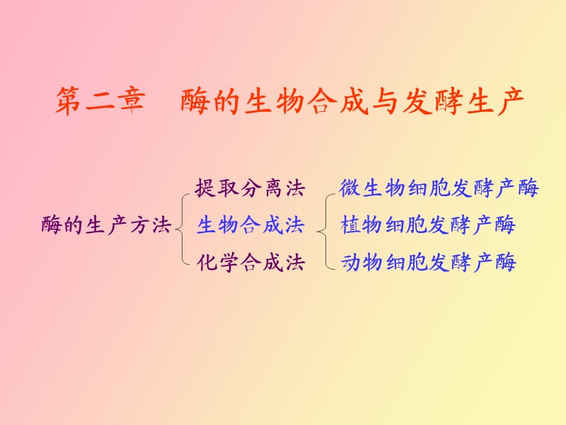 酶的发酵工程.ppt_第1页