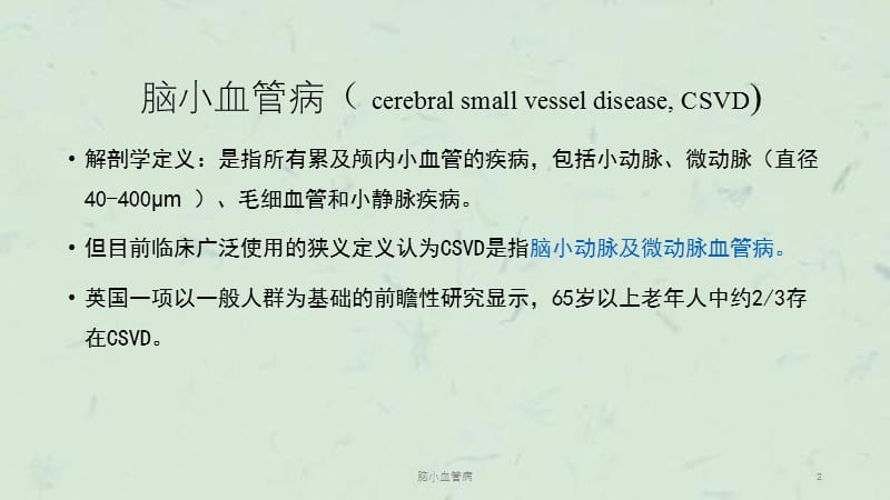 脑小血管病课件.ppt_第2页