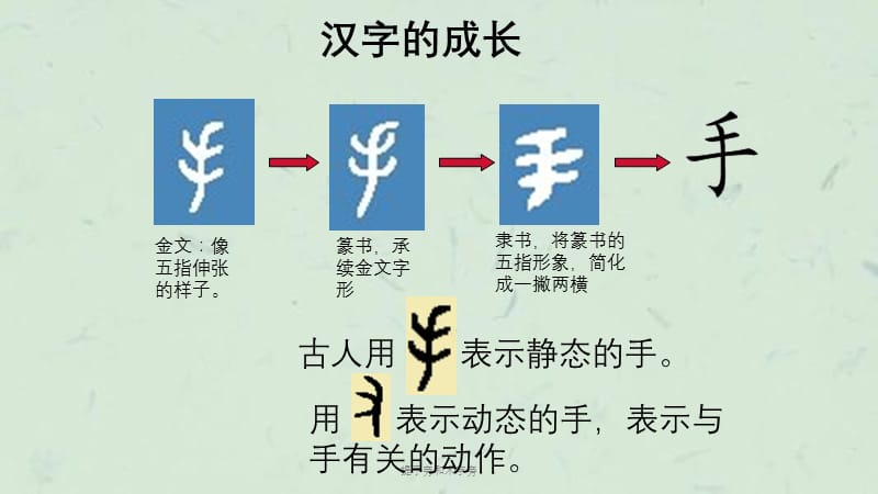 提手旁和木字旁课件.ppt_第2页