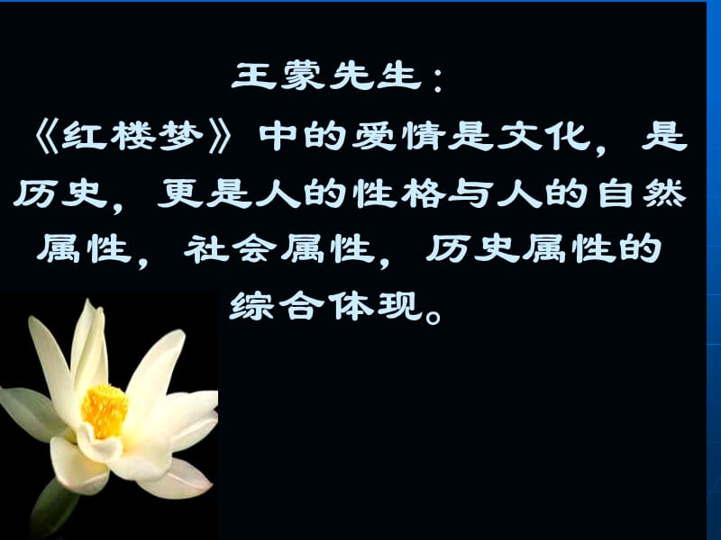 红楼梦公开课.ppt_第2页