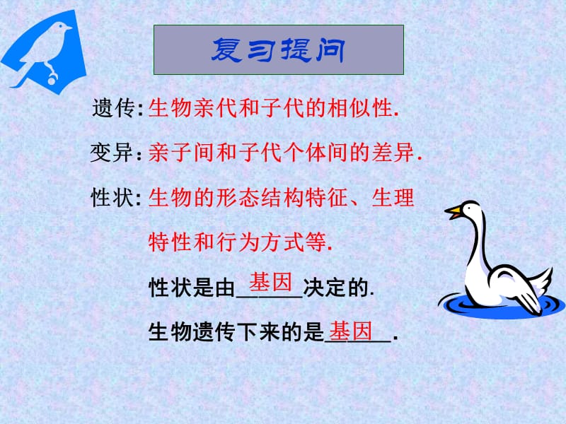 基因在亲子代间的传递-蒙城二中.ppt_第2页