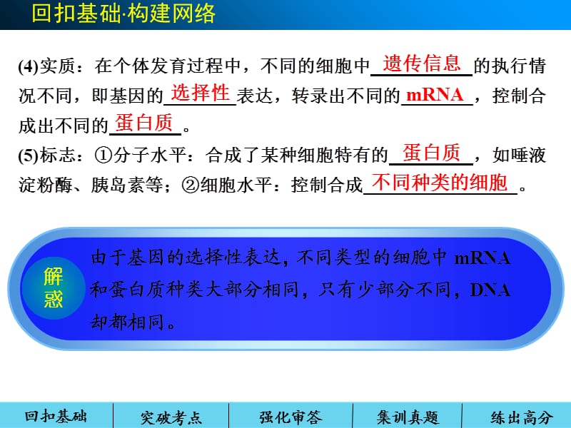 高三一轮复习课件 细胞的分化、衰老、凋亡及癌变.ppt_第3页