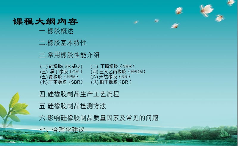 硅橡胶理论知识介绍PPT012.pptx_第2页