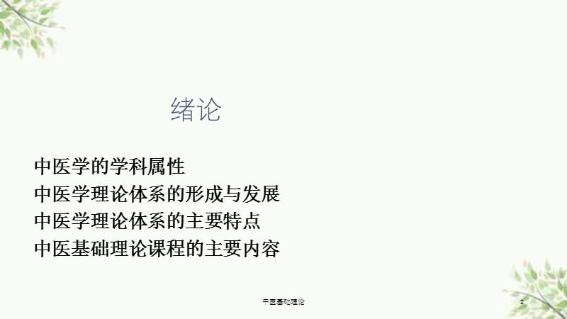 中医基础理论课件.ppt_第2页