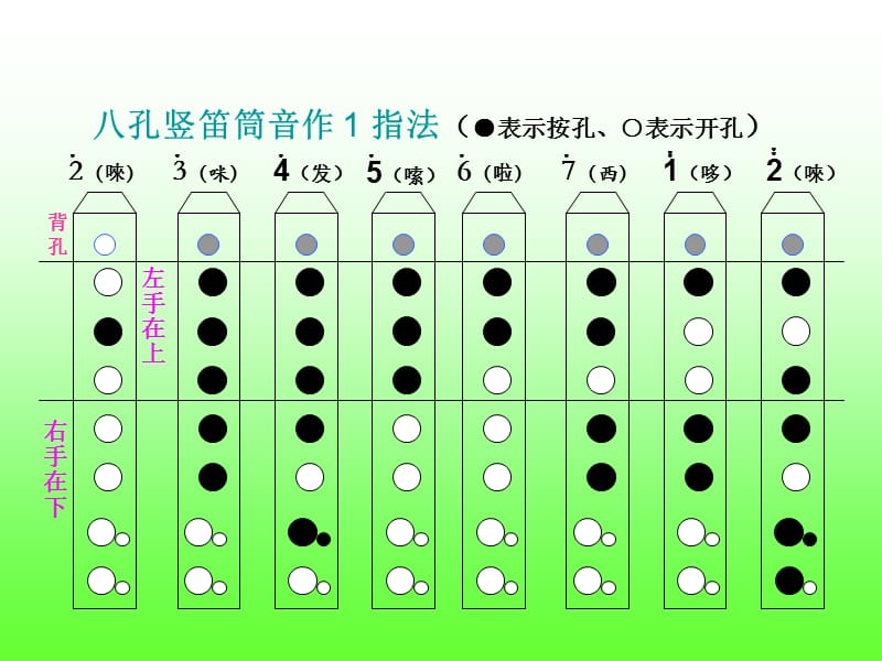 八孔竖笛指法(华光小学李倩).ppt_第3页