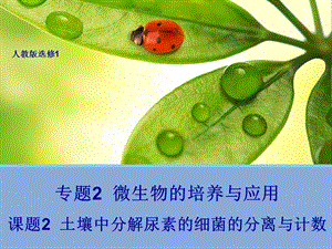 高中生物选修一 土壤中分解尿素的细菌的分离与计数 课件(人教版).ppt