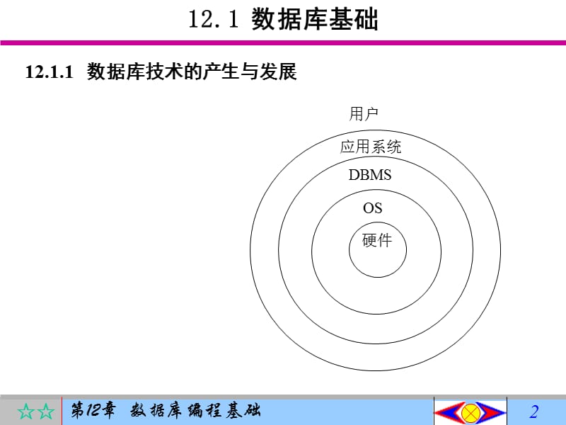 数据库编程基础.ppt_第2页