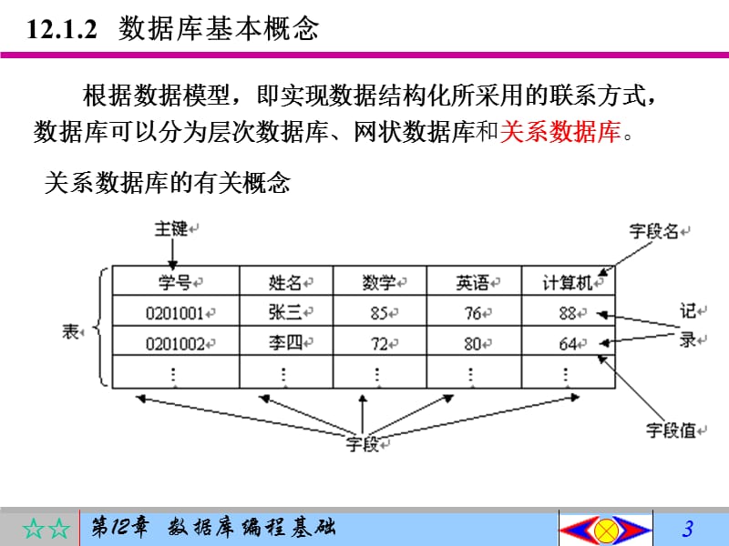 数据库编程基础.ppt_第3页