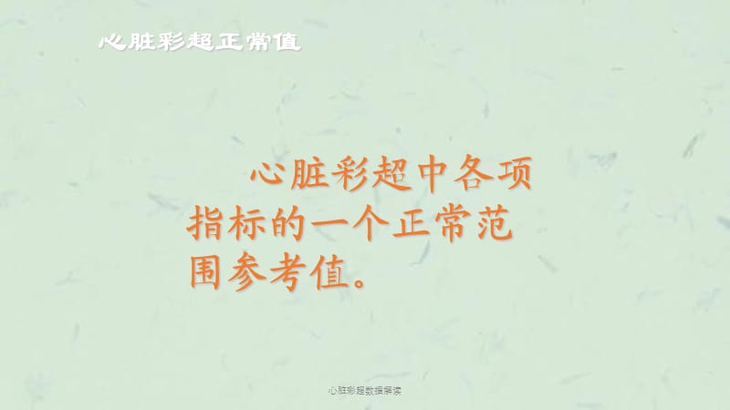 心脏彩超数据解读课件.ppt_第2页