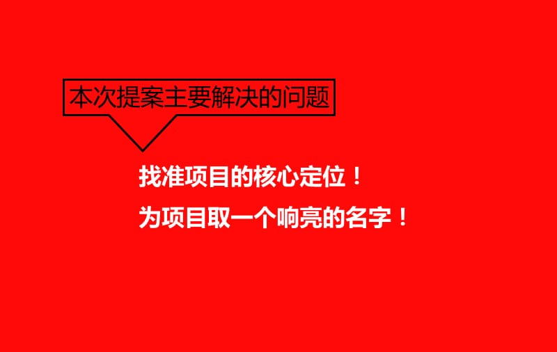 海南琼中项目整合推广方案.ppt_第2页