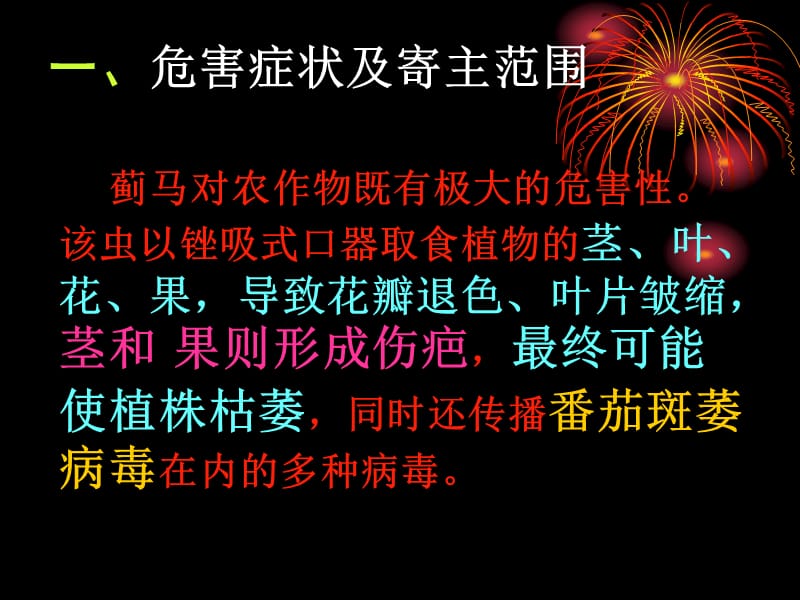 蓟马的防治技术.ppt_第3页