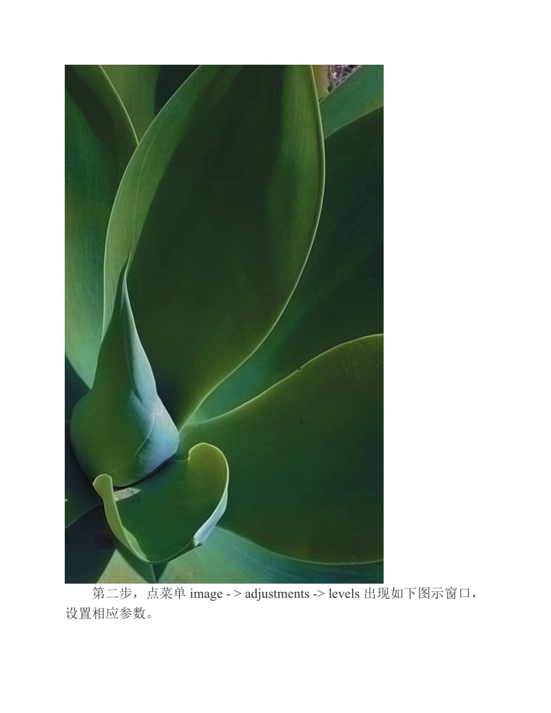 巧用Photoshop色阶功能打造水粉特效.pdf_第2页