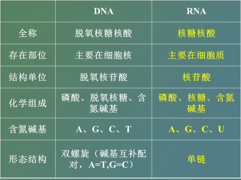 遗传物质和疾病文综.ppt_第3页