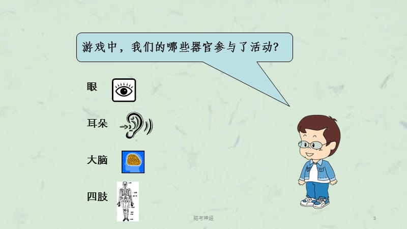 脑与神经课件.ppt_第3页