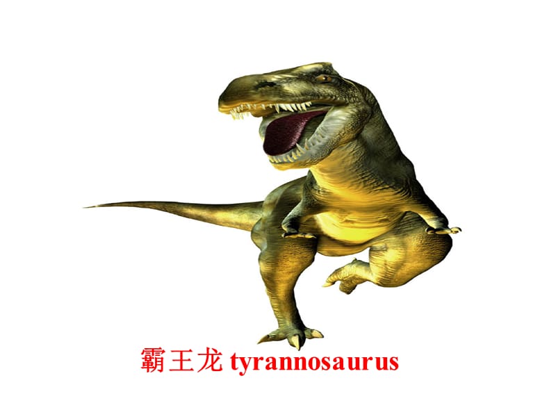 高二英语人教新课标选修8Unit2 the return of the dinosaurs 课件.ppt_第2页