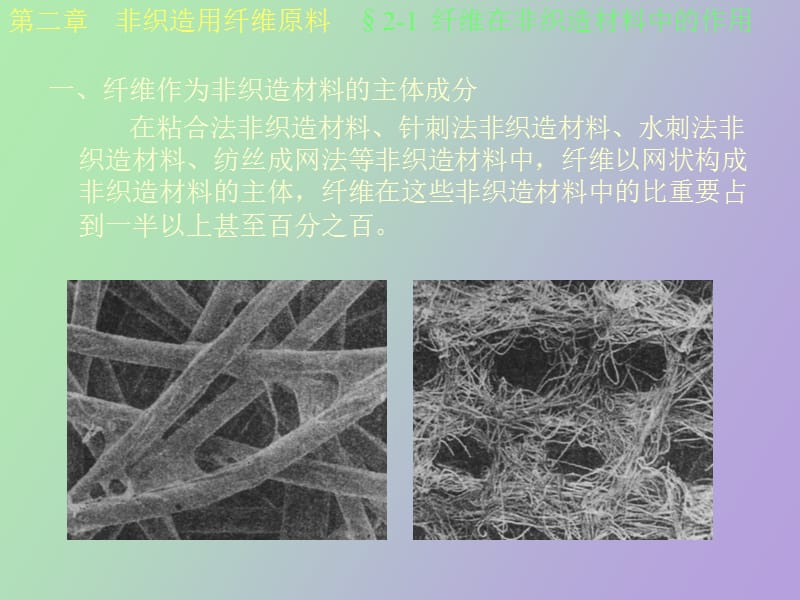 非纺织用纤维.ppt_第2页