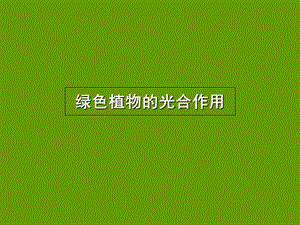 绿色植物的光合作用课件.ppt