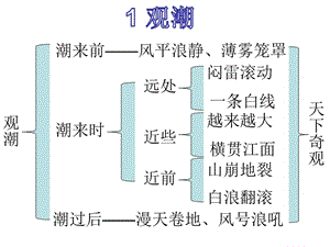 人教版四年级上《爬山虎的脚》板书设计.ppt