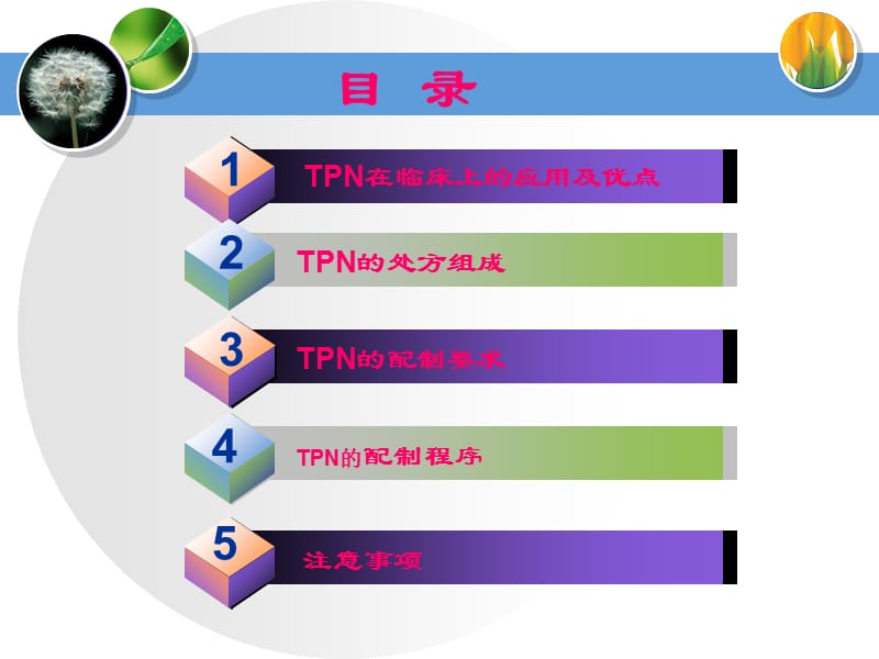 静配培训演讲,TPN的配置与应用.ppt_第2页