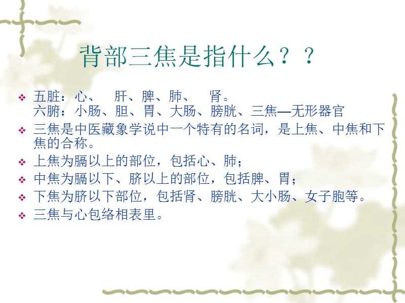 《背部专业知识》PPT课件.ppt_第3页