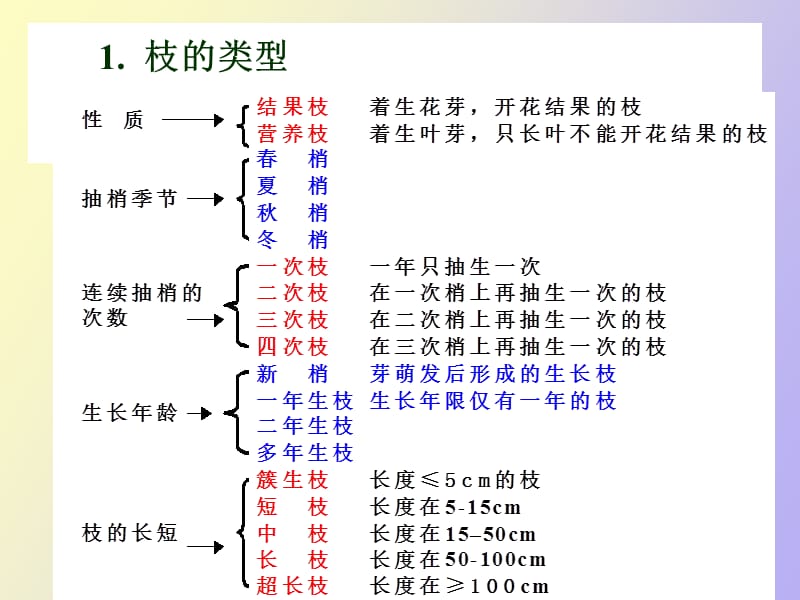 项目二果树的枝叶根的特性.ppt_第2页