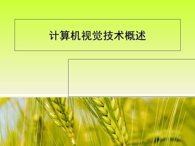 计算机视觉技术.ppt_第1页